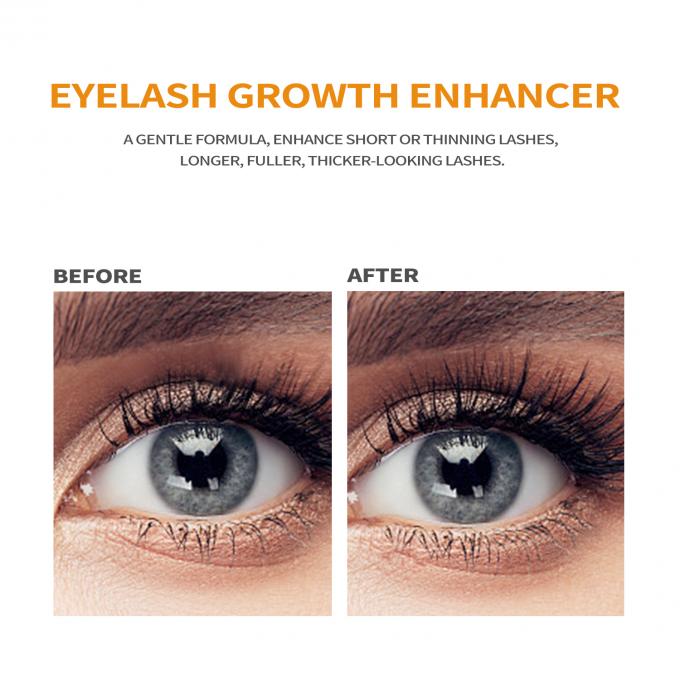 Custom Herbal Eyelash Growth Liquid Organic Vegan Eyelash Serum untuk bulu mata yang indah 12