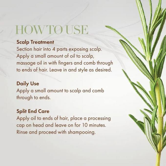 30 Minyak Esensial Ekstrak Rosemary Mint Scalp Minyak Penguat Rambut untuk Logo Khusus 0