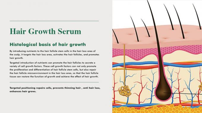 Herbal Hair Tonic untuk Pria Mencegah Kerontokan Rambut Menumbuhkan Rambut Volume 3 Bulan Supply 0