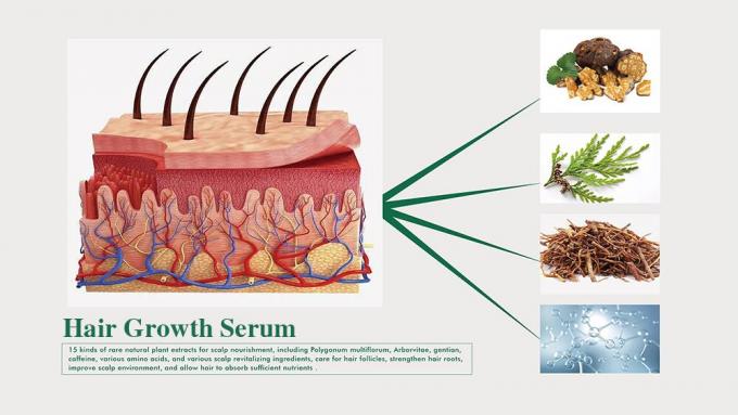 Herbal Hair Tonic untuk Pria Mencegah Kerontokan Rambut Menumbuhkan Rambut Volume 3 Bulan Supply 1