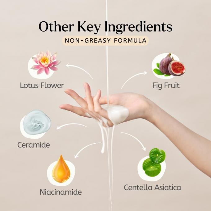 Ekstrak Alam Toner Nasi Label Pribadi Dukungan untuk melembabkan dan mengisi kembali kulit 1