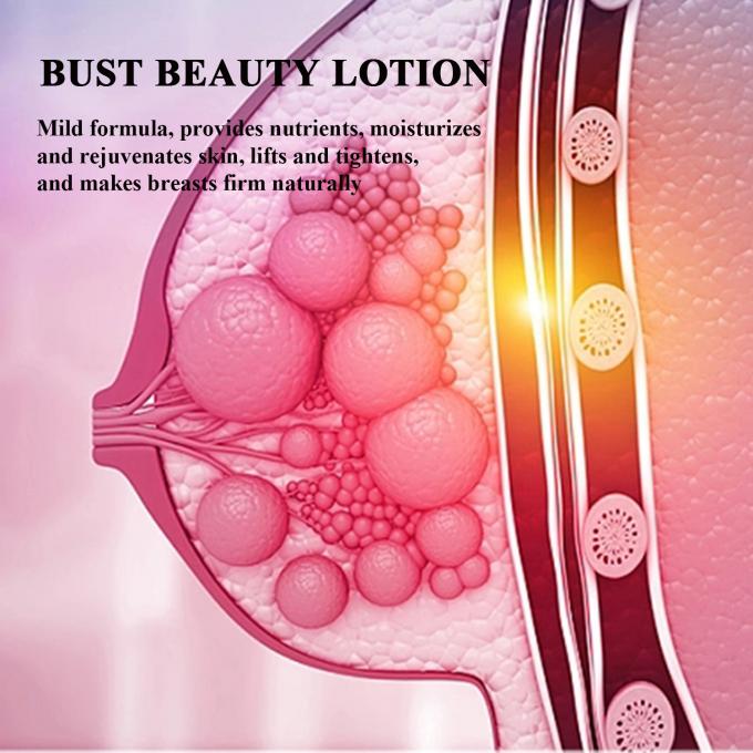 Lotion Penegak Payudara Vegan Alami Logo Pelanggan Diakui Pijat ketat untuk OEM ODM 3